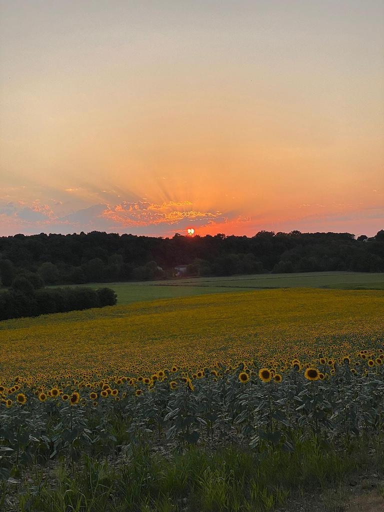 Zonsondergang.JPG